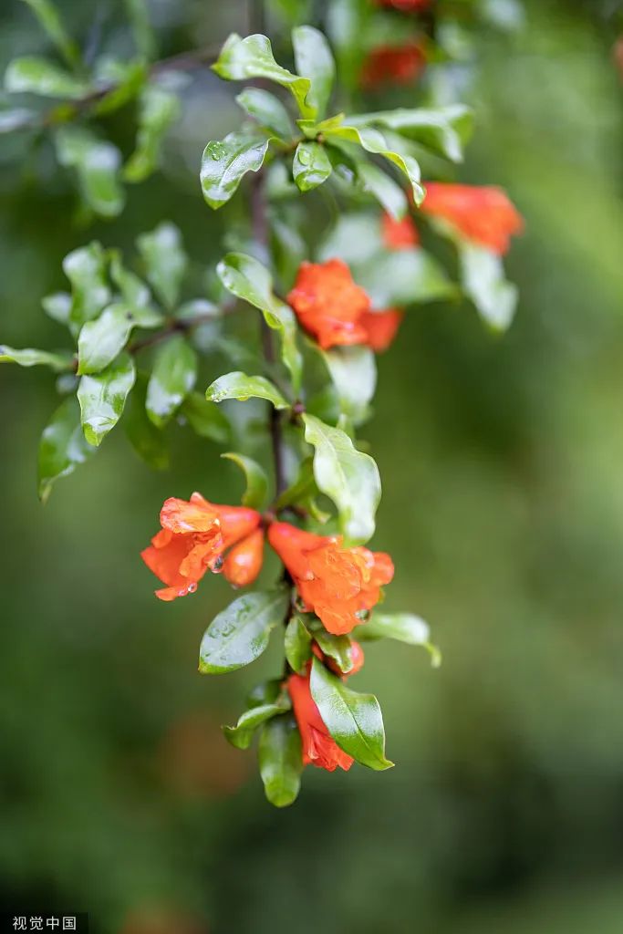 首页- k8凯发集团中国官方网站